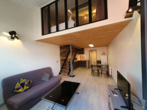 APPARTEMENT CENTRE VILLE AU CALME JARDIN et PARKING PUBLIC